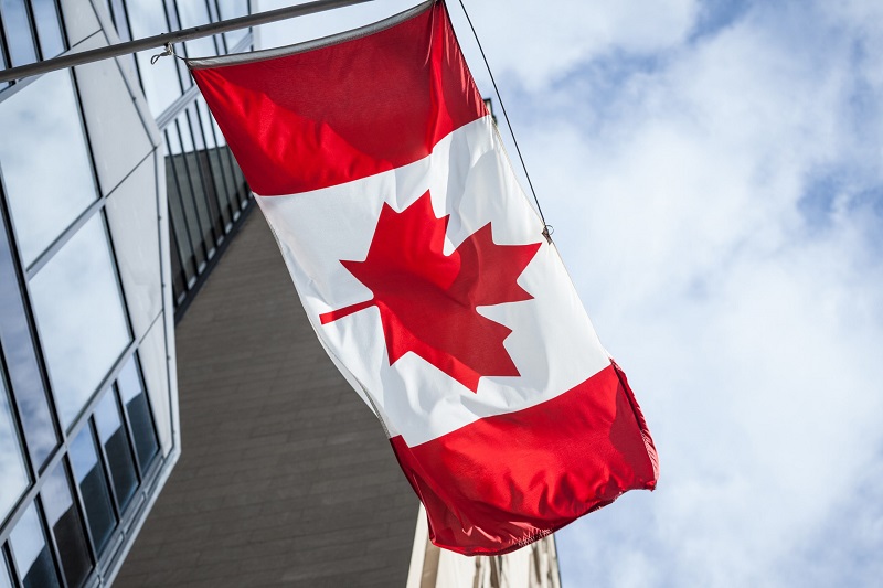 在加拿大留學的移民一步到位